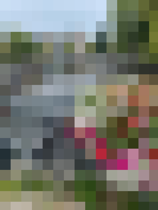 Image 32