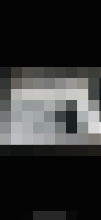 Image 31