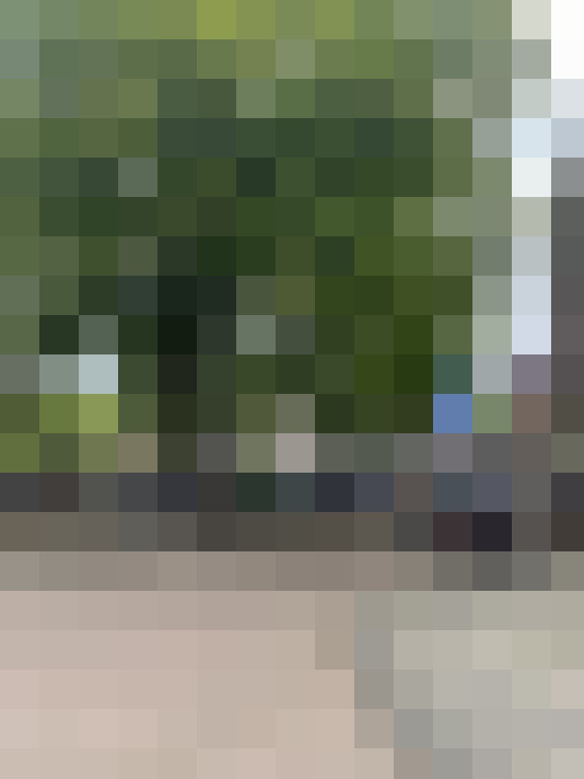 Image 40