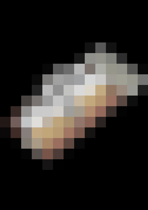 Image 63