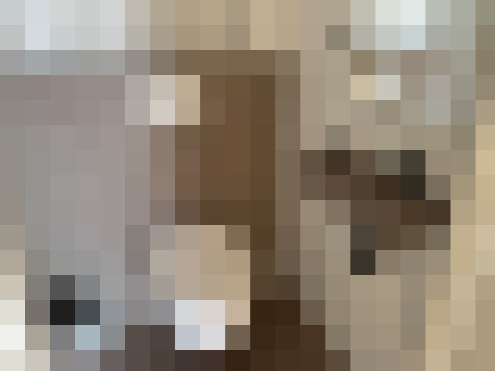 Image 13