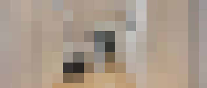 Image 25