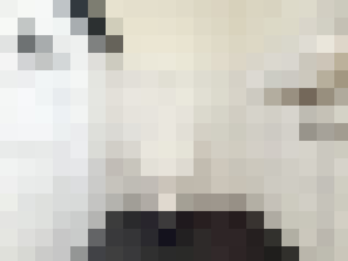 Image 30