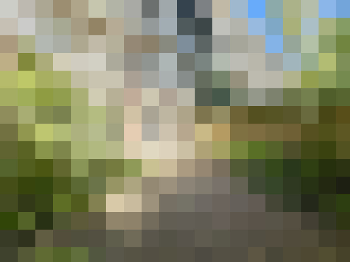 Image 15