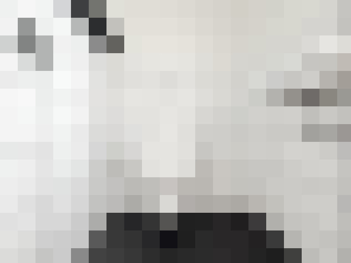 Image 29
