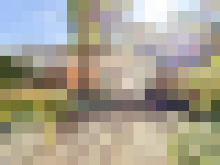 Image 13