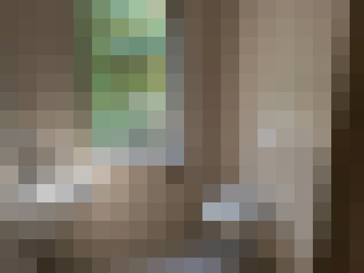 Image 13