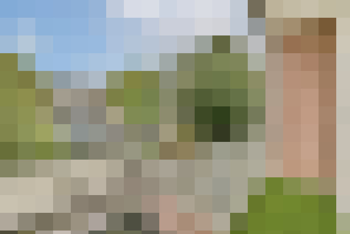 Image 13