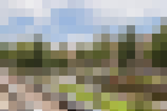 Image 22