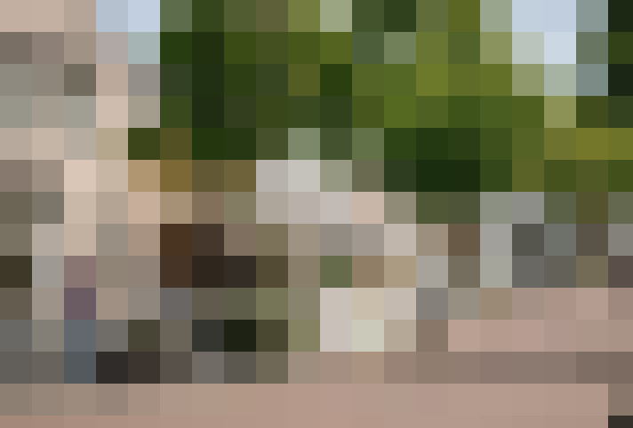 Image 26