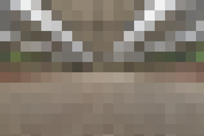 Image 63
