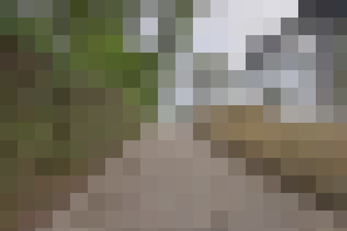 Image 56