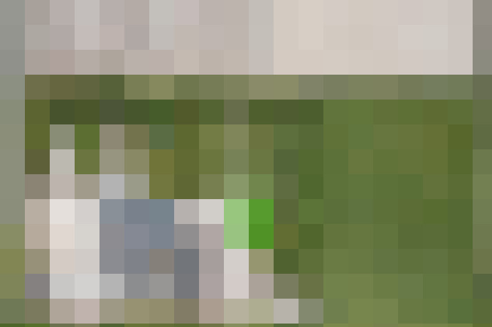 Image 65