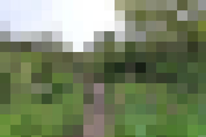 Image 49