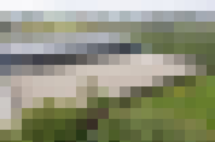 Image 61