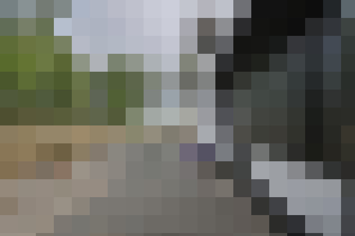 Image 43
