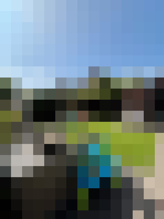 Image 31