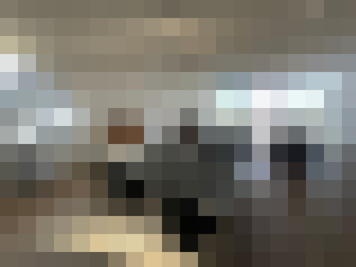 Image 15