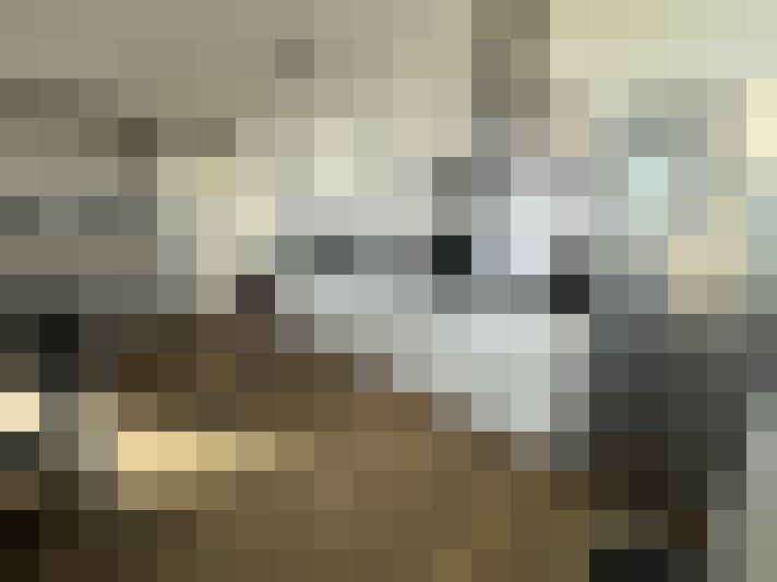 Image 16