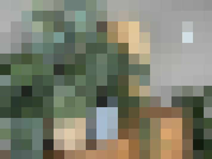 Image 27
