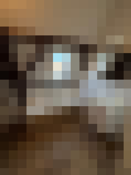 Image 13