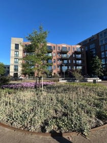 Apartment in Bergen op Zoom
