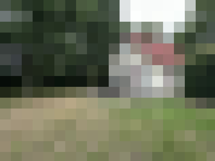 Image 19