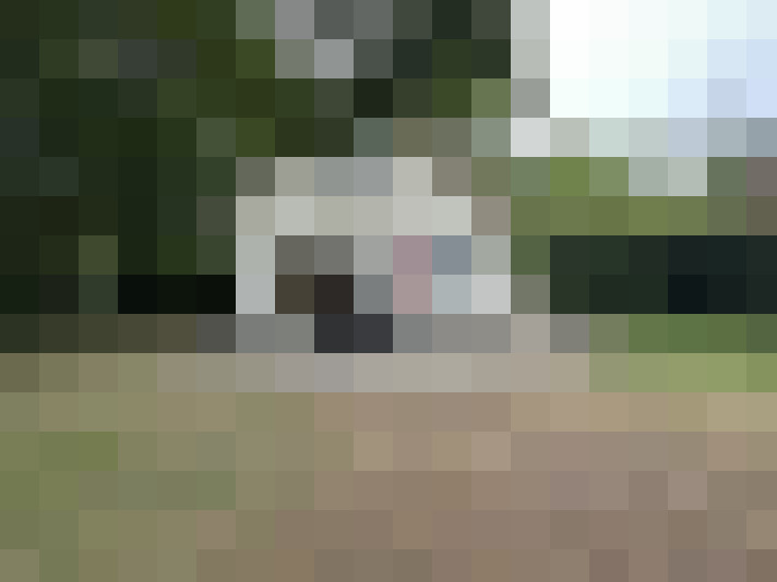 Image 18