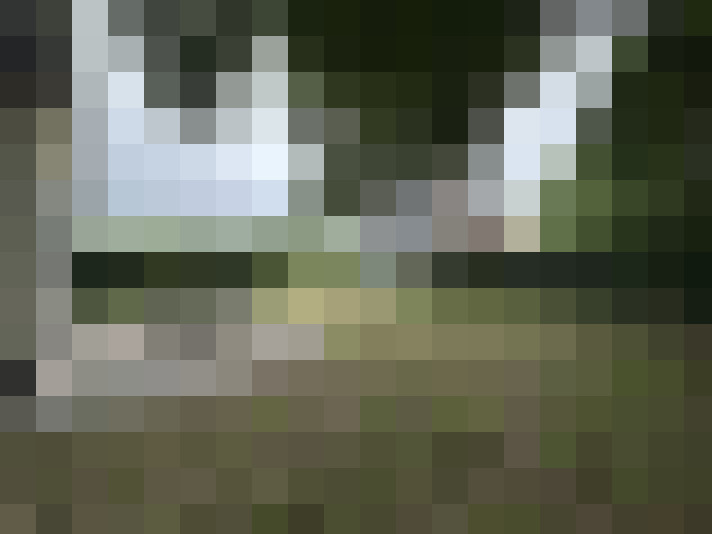 Image 17