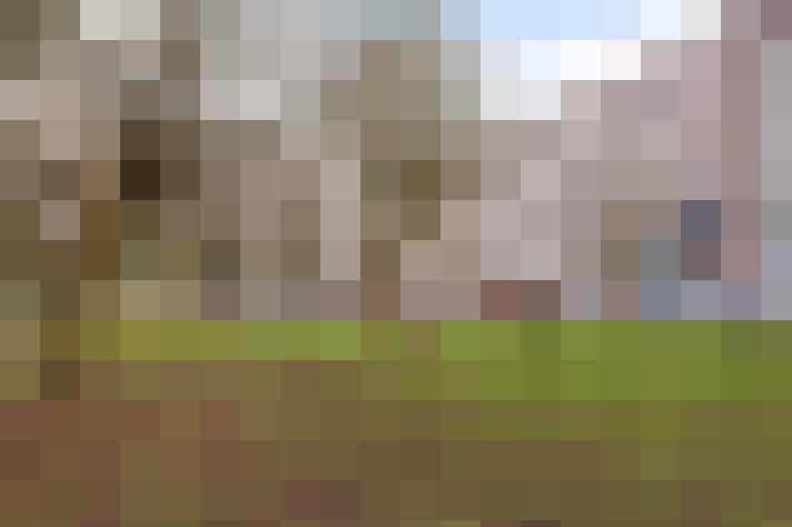Image 13