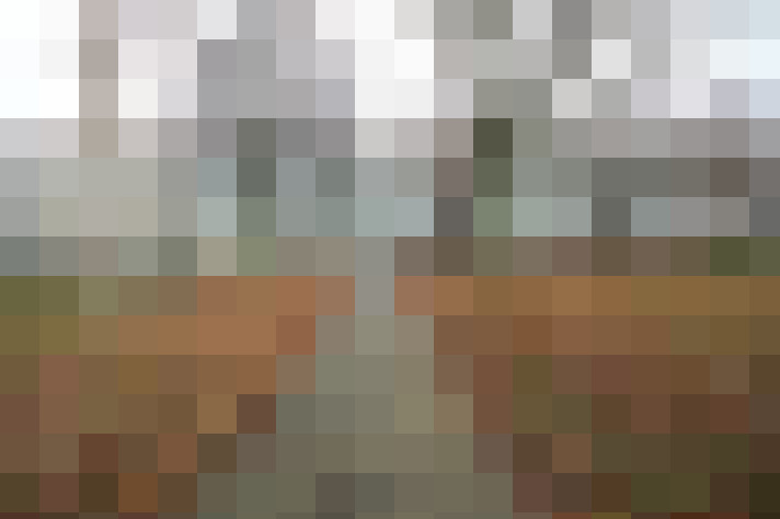 Image 15