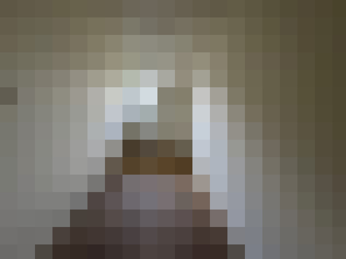 Image 15