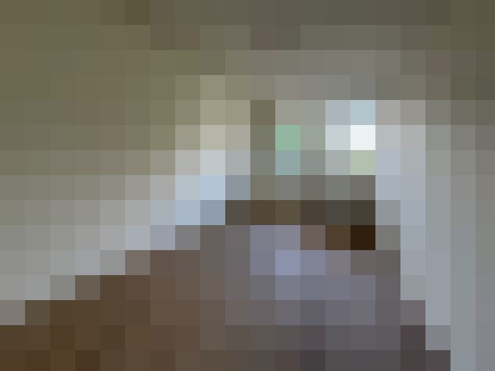 Image 14