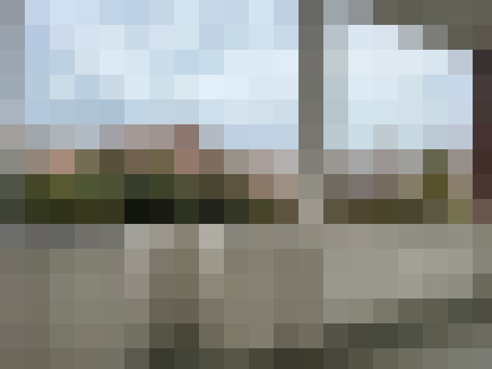 Image 20