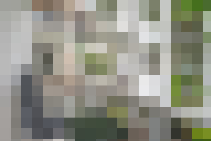 Image 29