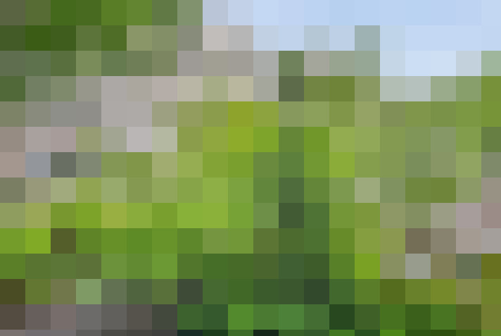 Image 30