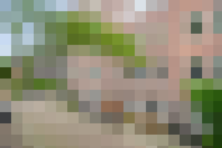 Image 35