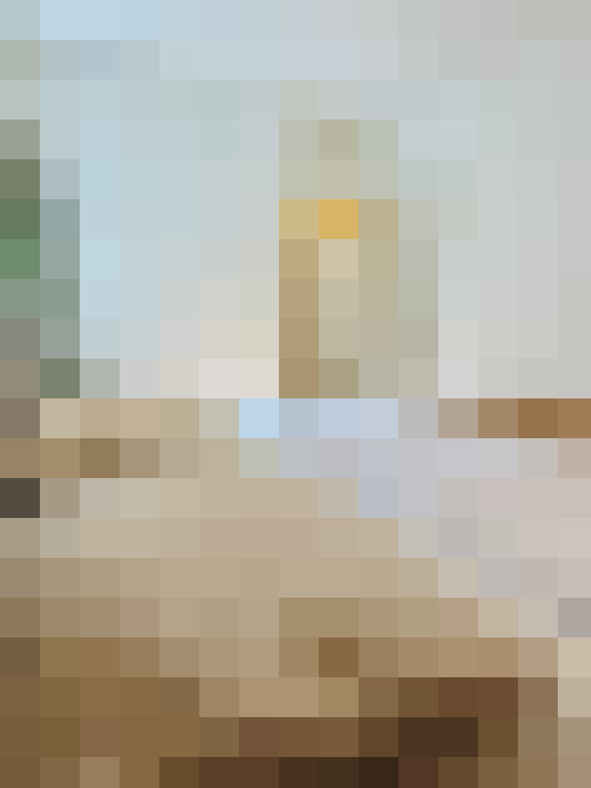 Image 42