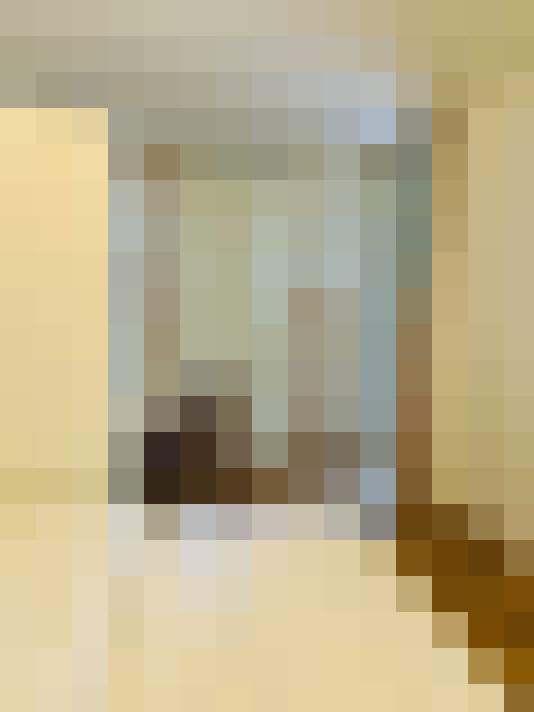 Image 51