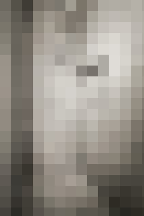 Image 37