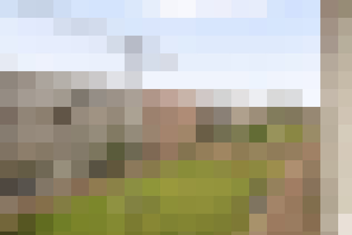 Image 29