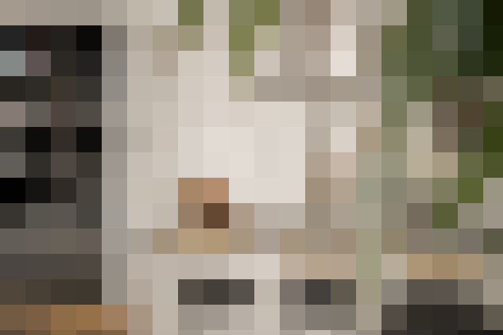 Image 18