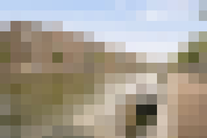 Image 42
