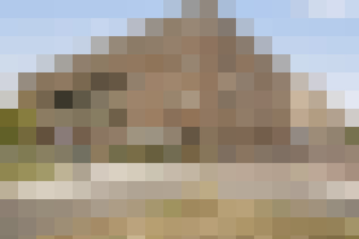 Image 48