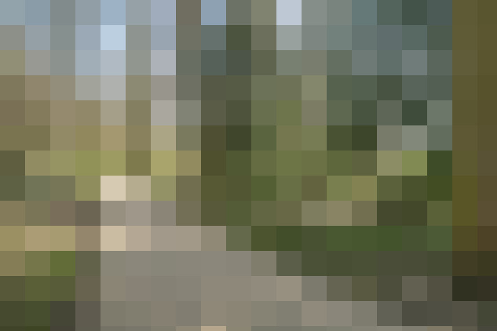Image 41