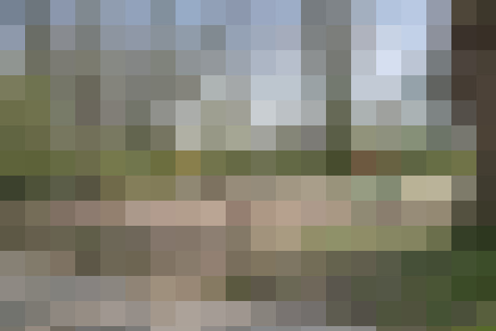 Image 42