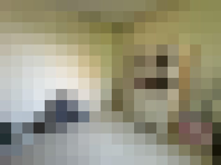 Image 17