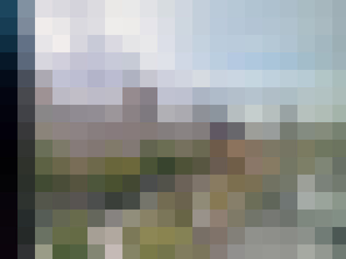Image 15