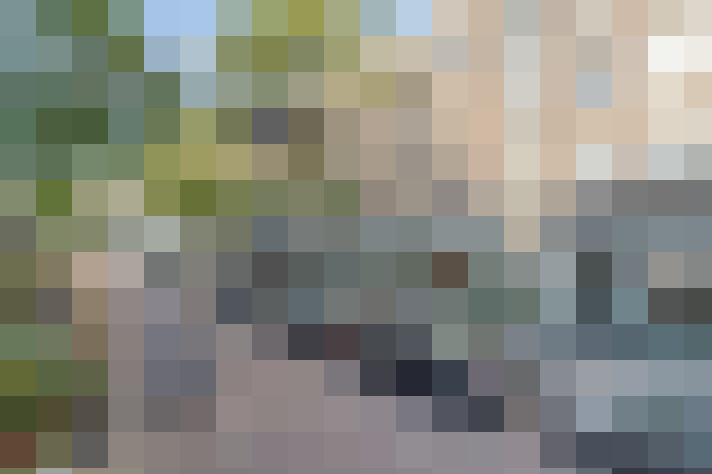 Image 14
