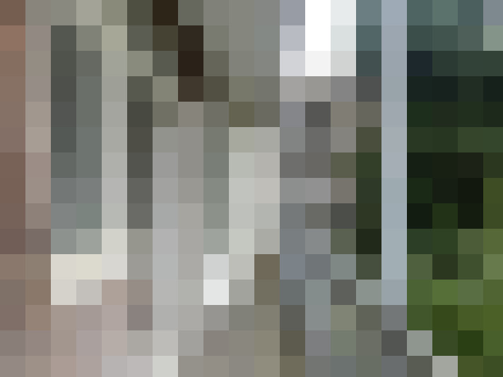 Image 17